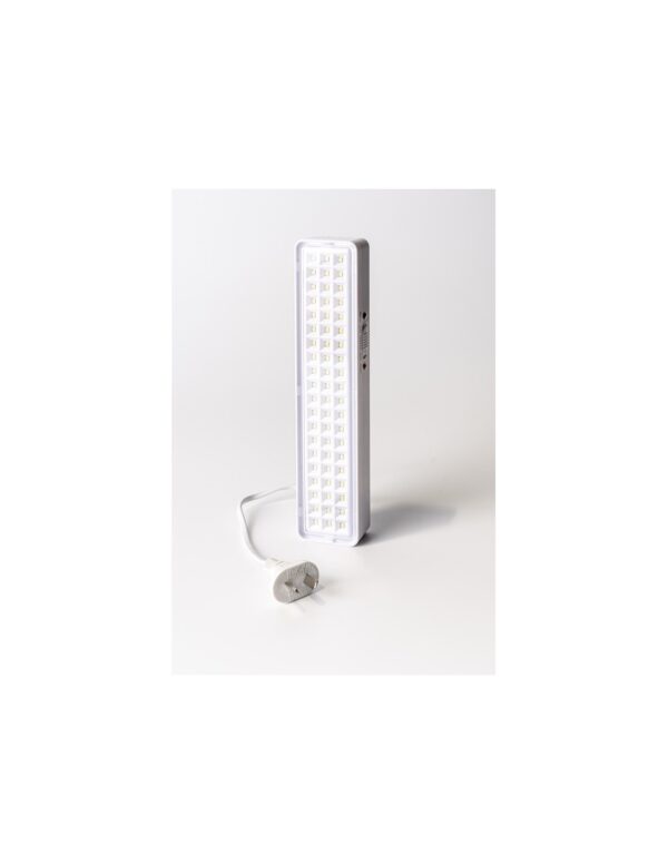 Luz de emergencia 60 leds autonomía 6hs - LIGHT LION
